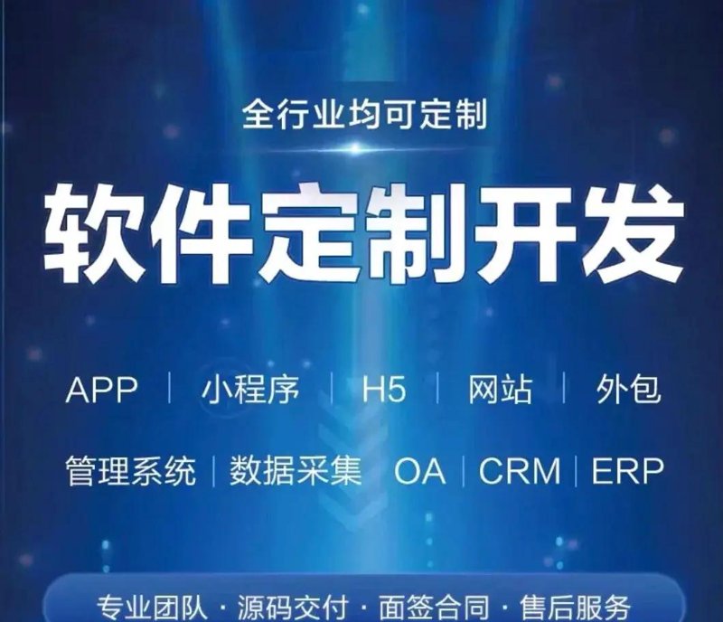 定制专属的管理系统：企业增长的秘密武器